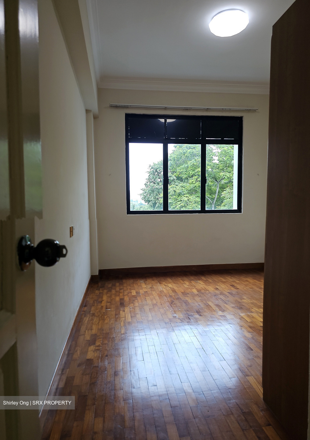 Euro-Asia Park (D13), Condominium #596070291